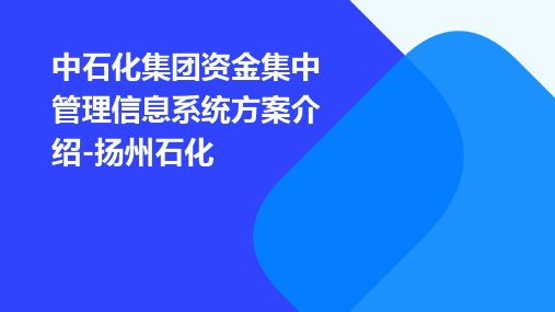 中石化集团资金集中管理信息系统方案介绍-扬州石化