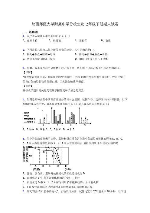 陕西师范大学附属中学分校生物七年级下册期末试卷