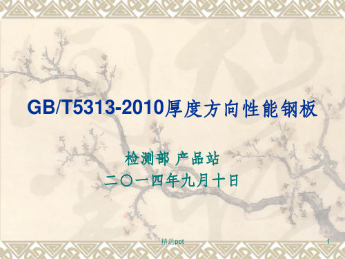 GBT5313厚度方向性能钢板