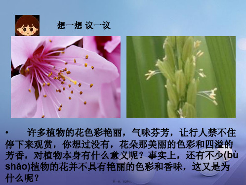 七年级生物上册第三单元第二章第三节开花和结果教学课件(新版)新人教版