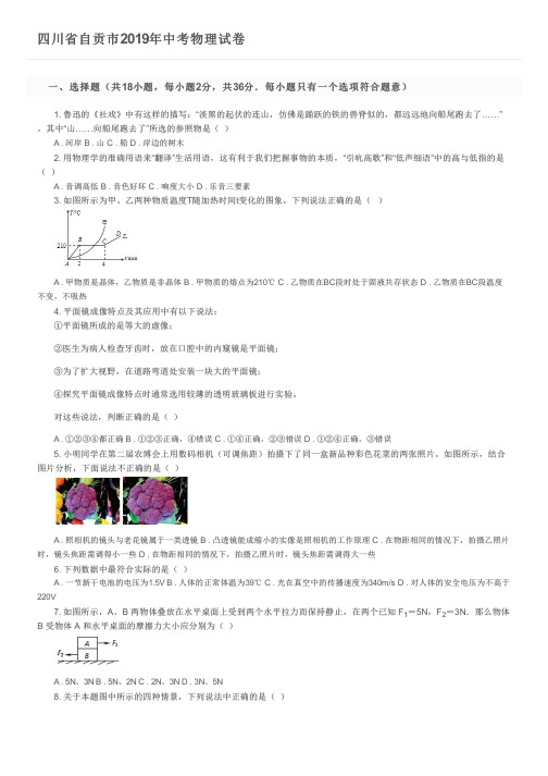 四川省自贡市2019年中考物理试卷及参考答案