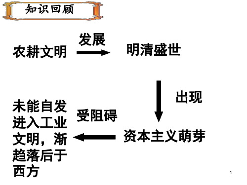 工业文明对中国的冲击ppt课件