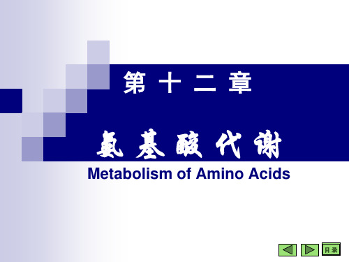 理学生物化学与分子生物学八年制课件3