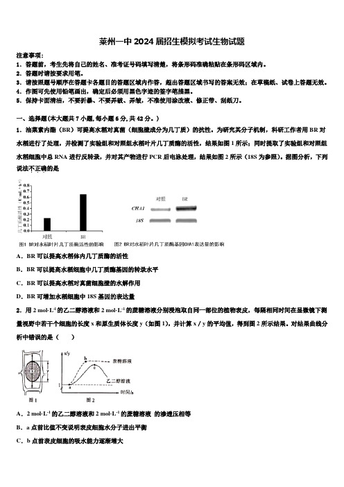 莱州一中2024届招生模拟考试生物试题含解析