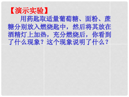 江苏省徐州市睢宁县宁海外国语学校九年级化学全册《8.1 什么是有机化合物》课件 (新版)沪教版