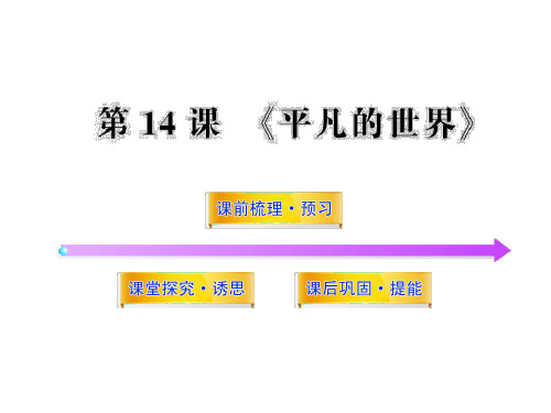 《平凡的世界》(共51张PPT)