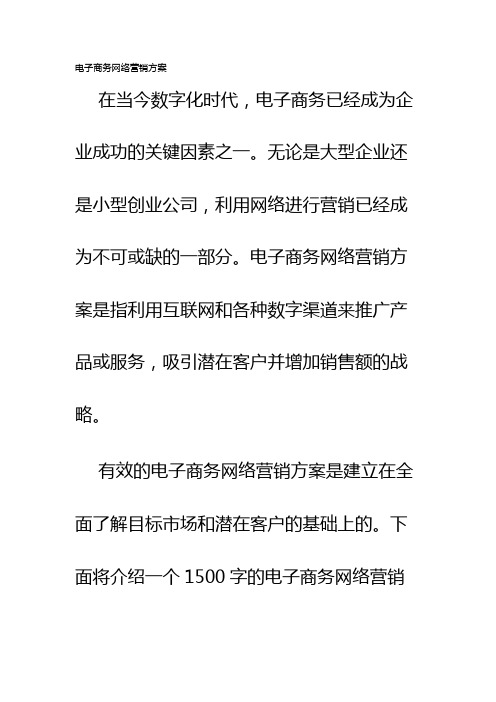 电子商务网络营销方案