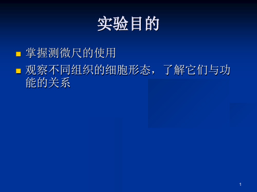 使用测微尺观测细胞的大小