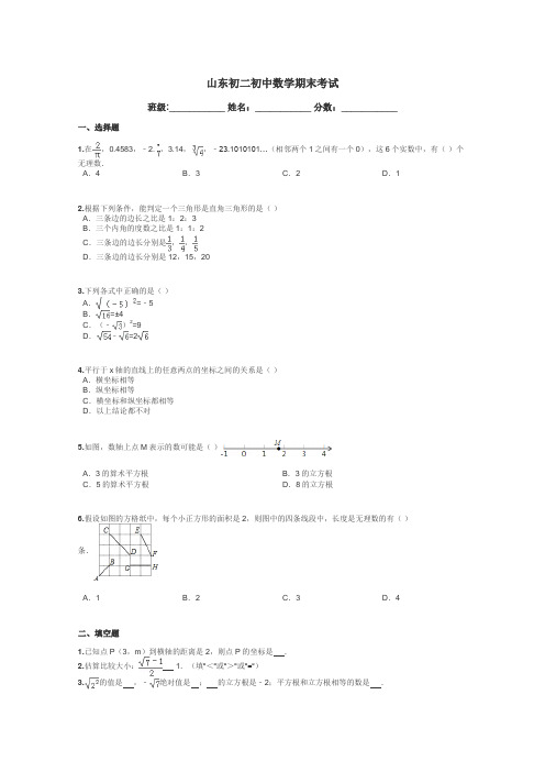 山东初二初中数学期末考试带答案解析
