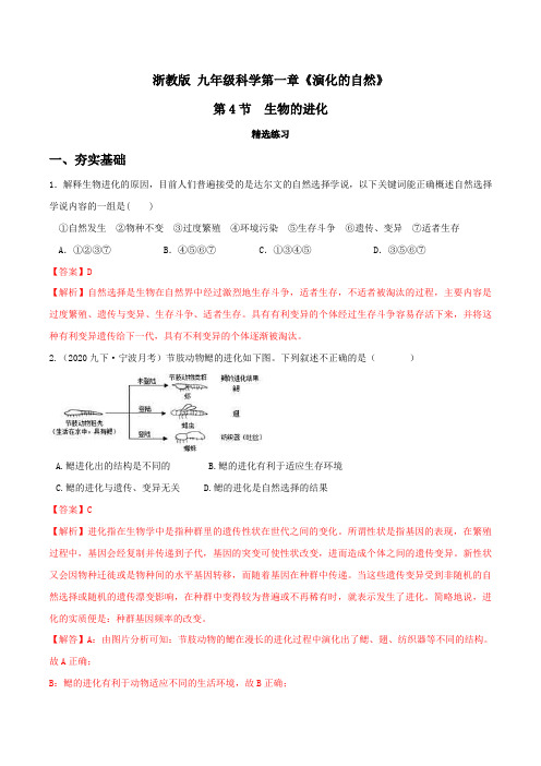 1.4生物的进化(第2课时)(精选练习)