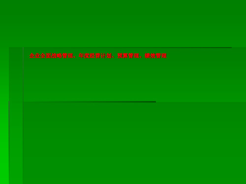 企业全面战略管理、年度经营计划、预算管理、绩效管理