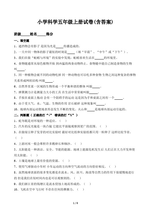 杭州市小学科学五年级上册试卷(含答案)