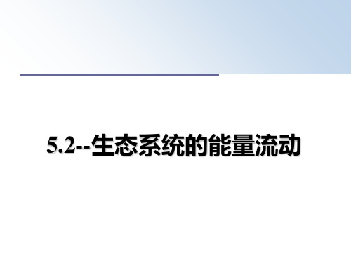 最新5.2--生态系统的能量流动教学讲义ppt课件