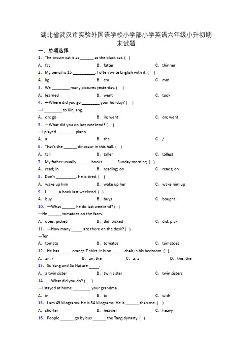 湖北省武汉市实验外国语学校小学部小学英语六年级小升初期末试题