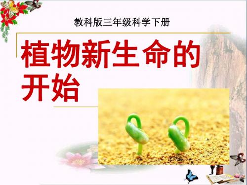 《植物新生命的开始》植物的生长变化PPT优秀课件3