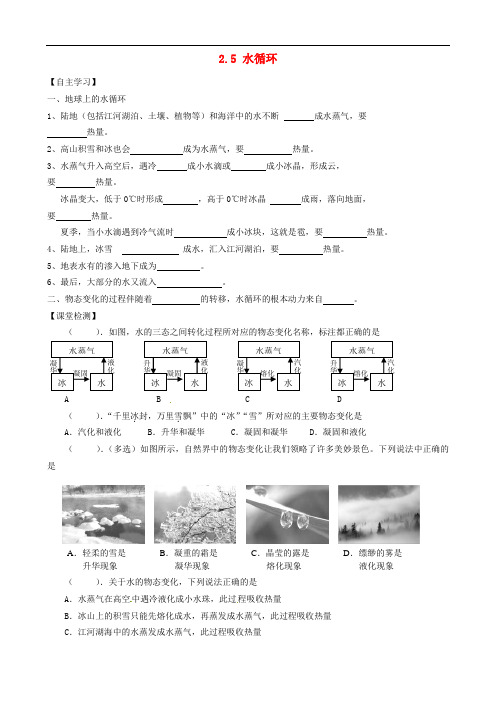 八年级物理上册 2.5 水循环 精品导学案 苏科版