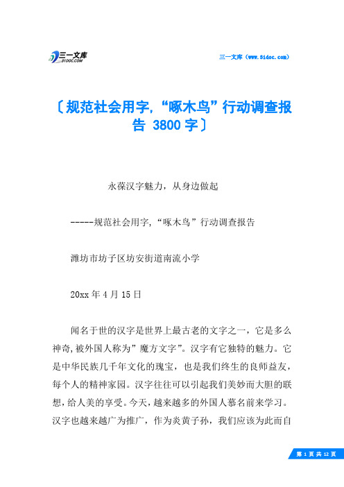 规范社会用字,“啄木鸟”行动调查报告 3800字