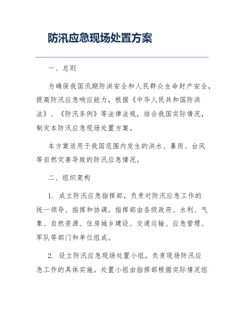 防汛应急现场处置方案