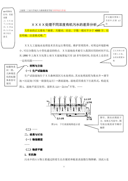 专科毕业大作业样式