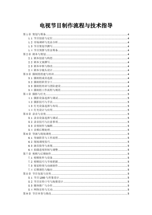 电视节目制作流程与技术指导