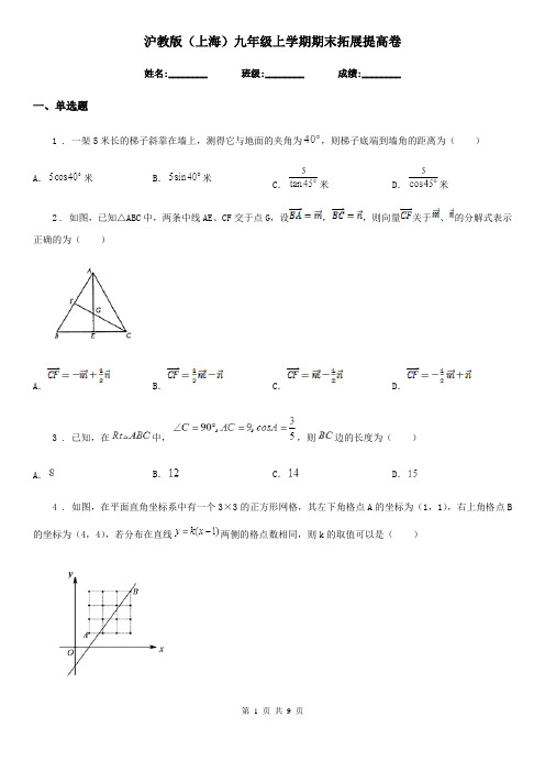 沪教版(上海)九年级数学上学期期末拓展提高卷