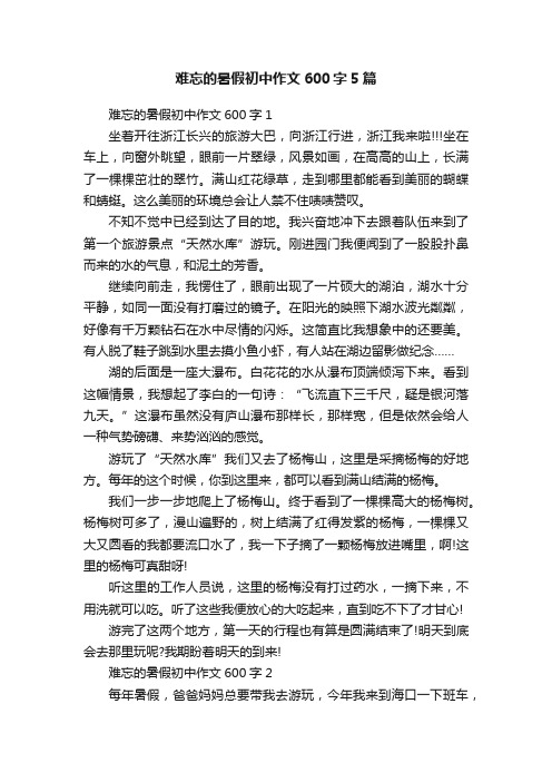 难忘的暑假初中作文600字5篇