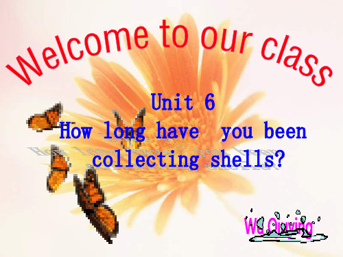 人教新目标版英语八下《Unit 6 How long have you been collecting shells》ppt课件(五)