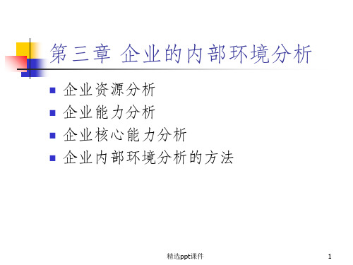 企业的内部环境分析ppt课件