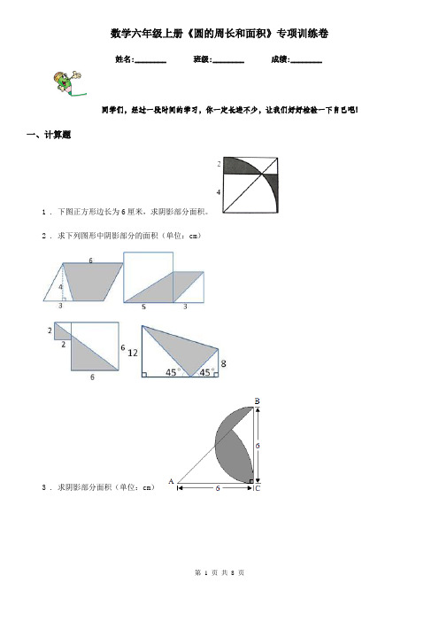 数学六年级上册《圆的周长和面积》专项训练卷