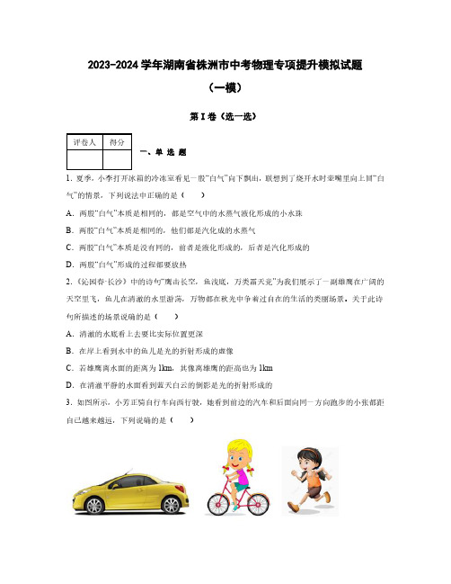 【中考物理】2023-2024学年湖南省株洲市质量检测模拟试题合集2套(含解析)