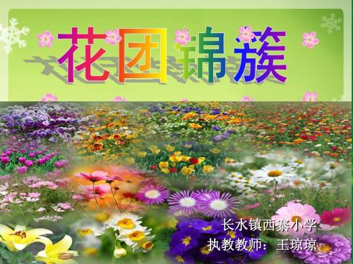 湖南美术出版社《花团锦簇》课件