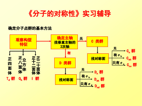 分子的对称性实习辅导