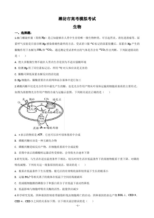 2020届山东省潍坊市高三第三次模拟生物试题