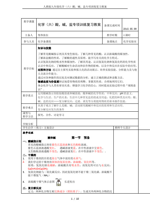 人教版九年级化学(六)酸,碱,盐专项训练复习教案