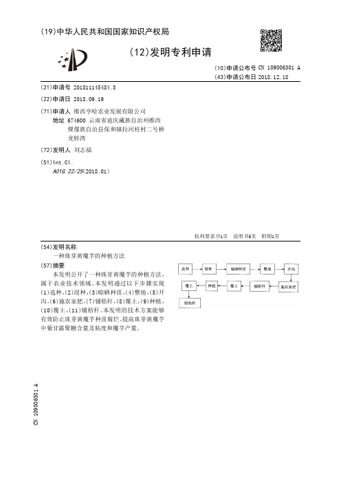 一种珠芽黄魔芋的种植方法[发明专利]