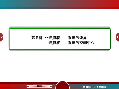 高三生物一轮复习 细胞膜和细胞核