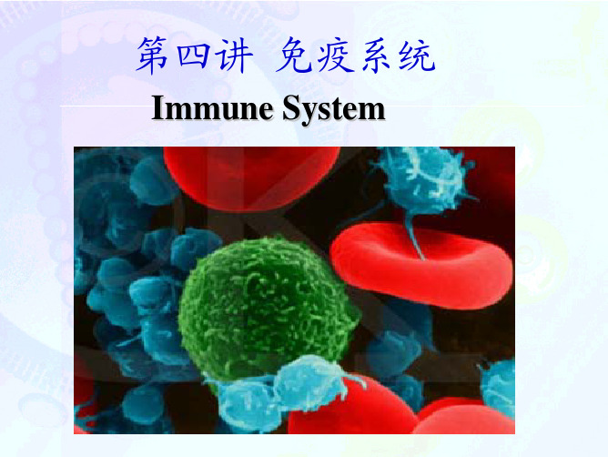 鱼类免疫学：第四章免疫系统