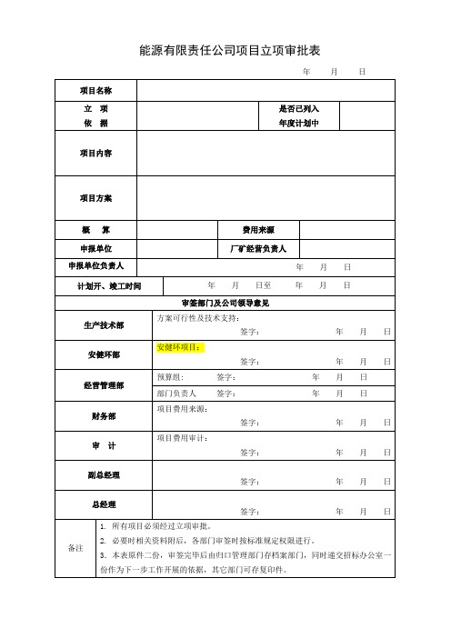 能源有限责任公司项目立项审批表