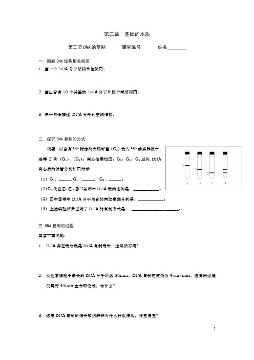 DNA的复制_学案