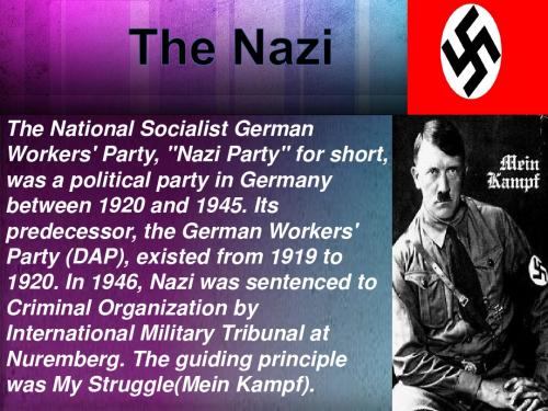 the nazi解析