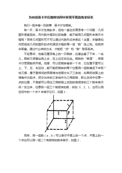 为何说笛卡尔在蜘蛛结网中发现平面直角坐标系