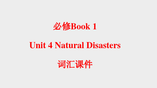 Unit 4 Natural Disasters 词汇知识点 高一英语(人教2019版必修第一册)