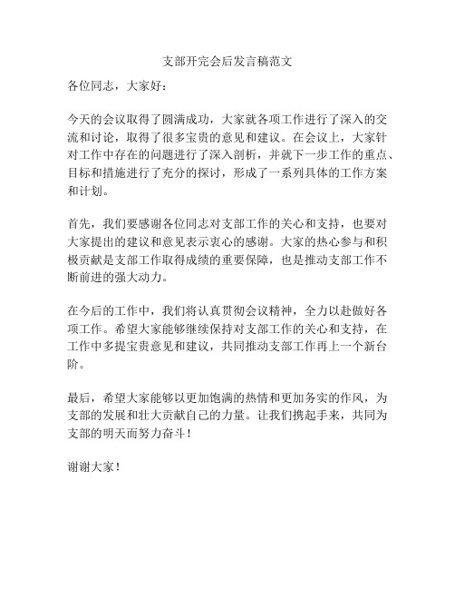 支部开完会后发言稿范文