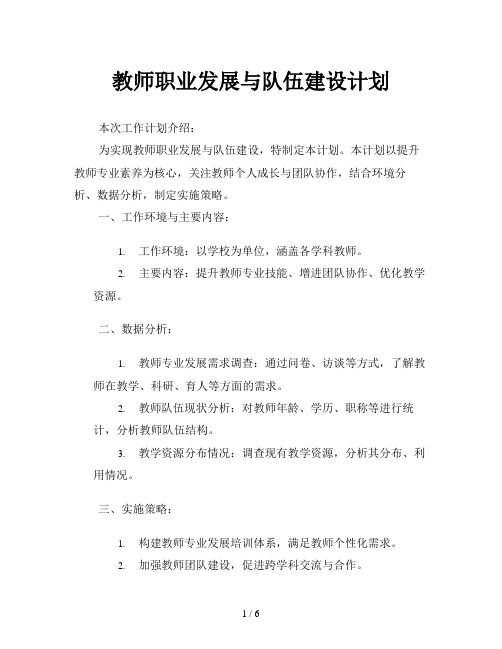 教师职业发展与队伍建设计划