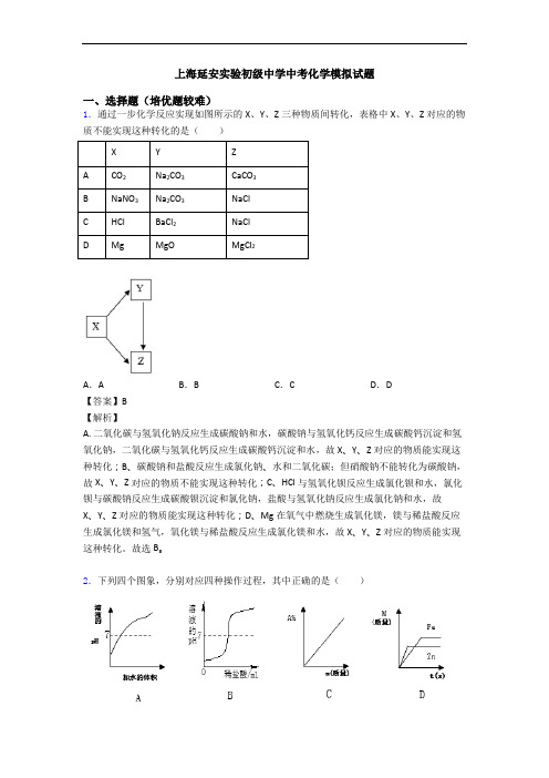 上海延安实验初级中学中考化学模拟试题