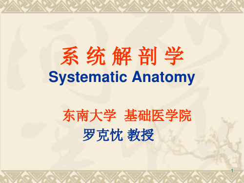 1 绪论、骨学(General Introduction、Osteology