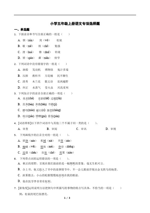 2023-2024语文专项(专项训练)统编版语文五年级上册