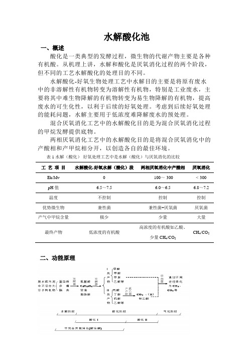 水解酸化888池