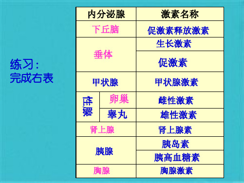 第二节通过激素的调节2(共24张PPT)