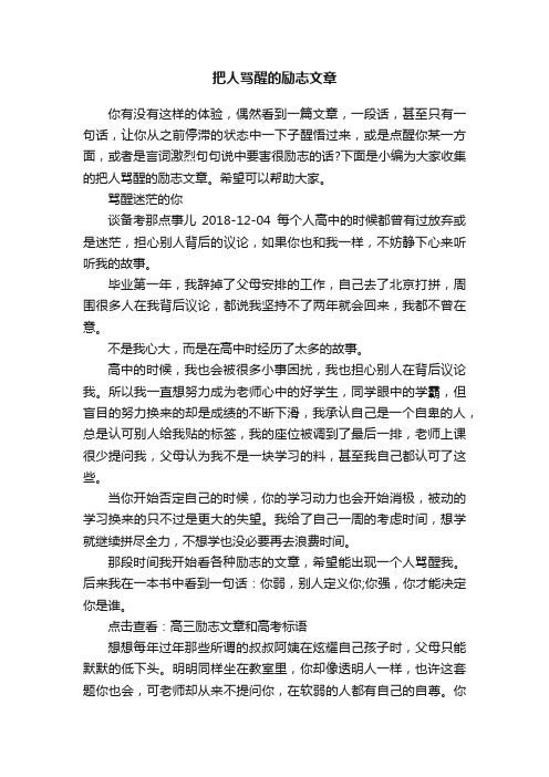 把人骂醒的励志文章